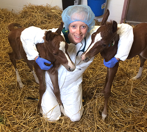 Double Trouble: Rare Twin Foals Saved at New Bolton Center
