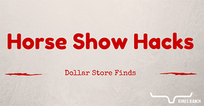 Kimes Ranch Blog: Horse Show Shopping at the Dollar Store!