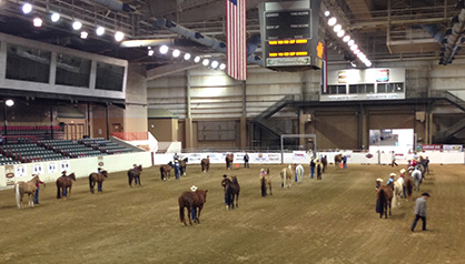 Results From WCHA BC Futurity and Inaugural Equine Chronicle Ranch Horse Challenge