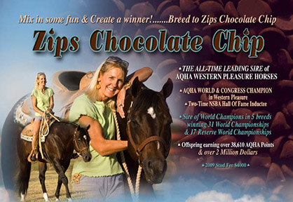 Our Condolences Following the Passing of AQHA Stallion, Zips Chocolate Chip
