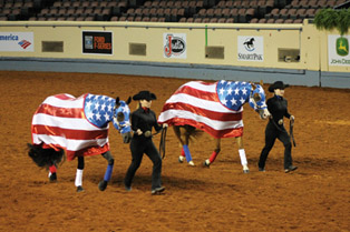 AQHA Youth World