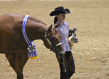 Congress Youth Gelding Halter Winners Include Prime, Gipson, Ronk, Hamm, Tamulewicz