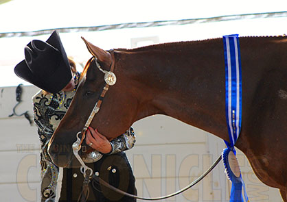 Congress Western Riding Wins Go to Perry Jackson/Cutelicious and Susan Knapp/Heavenly Mac