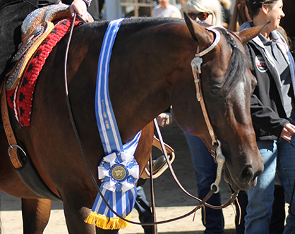 Karissa Shank and Assets Miss Reba Win Congress 11 and Under Horsemanship