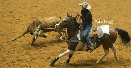 USTRC Cowtown Shootout Returns to 2015 APHA World Show