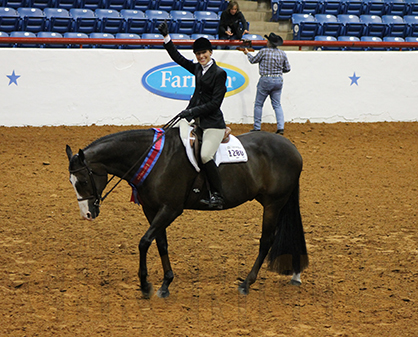 APHA World Show Amateur Equitation Winners Include Bankford, Weiser, Bull