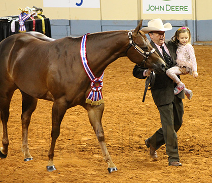 Morning Wins at AQHA World Show Include Alluring Intention, Lawless Luci, TNR Top of the Ninth, Legacee, and It’s Gameday