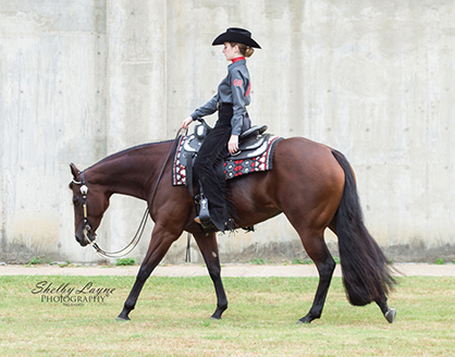 Sneak Peak – New Horse & Rider Teams for 2016