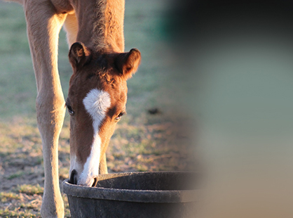 Just Because it’s Winter, Don’t Forget to Water!