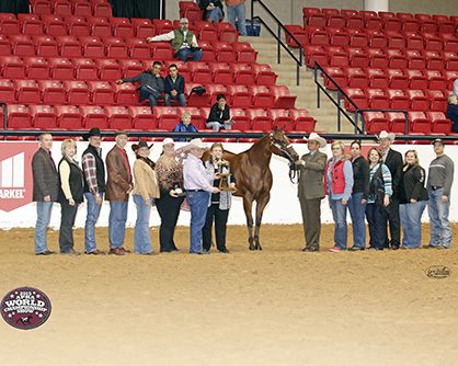 Special Honors Awarded at 2015 APHA World in Memory of Great Horses