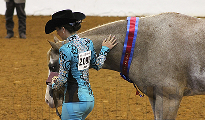 Strong Reaction to Changes in APHA World Show Point Allocation/Breeders’ Trust