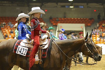 Is it Possible to Judge If a Horse is a Happy Athlete?