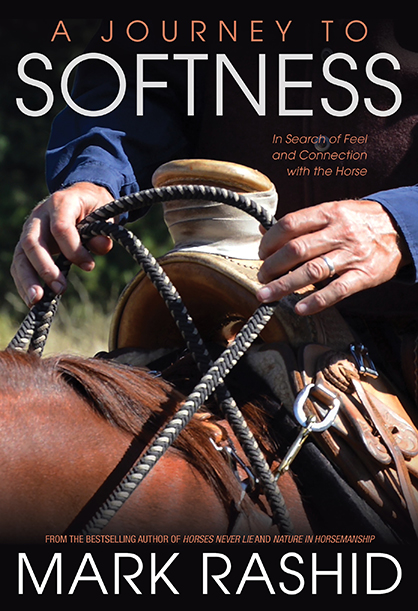 Journey To Softness- New Book About Developing Feel