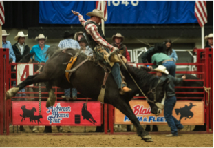 2016 Midwest Horse Fair Will Host Two Nights of PRCA Rodeo