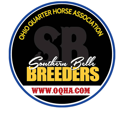 Stallion Services Available at 50% Discount When Purchased Through Southern Belle Breeders’ Program