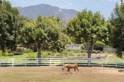 Oprah Winfrey Purchases CA Horse Farm For $28,850,000