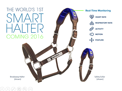 Could the World’s First Smart Halter Help Save Your Horse’s Life?