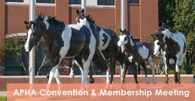 2016 APHA Convention Standing Committee Agendas Posted