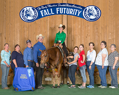 April Online Auction from Pro Horse Services