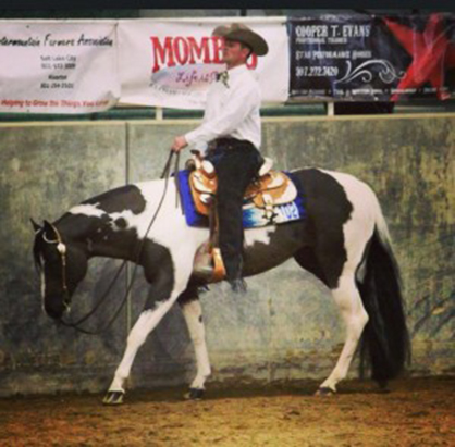 APHA Announces Top 20 Shows For 2015