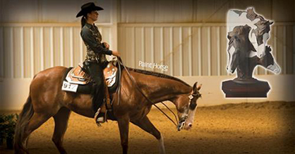 APHA Awards 2015 Zone High Point Champions