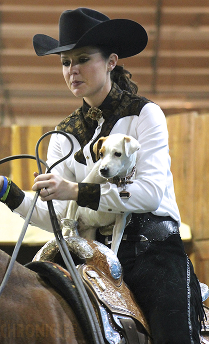 April Fool’s! New Class, Horse and Dog Trail, Coming to a Breed Show Near You