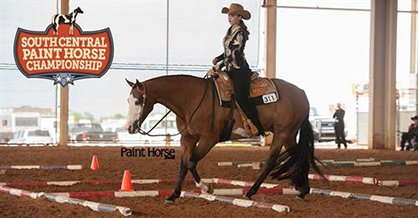 South Central Paint Horse Championship Returns to Texas Memorial Day Spectacular