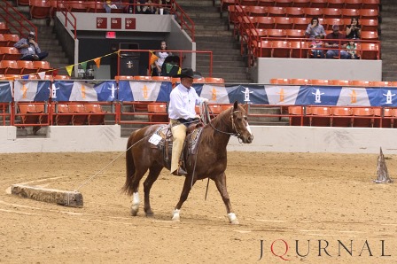 AQHA Accepting Location Bids For Versatility Ranch Horse and Cowboy Mounted Shooting World Shows