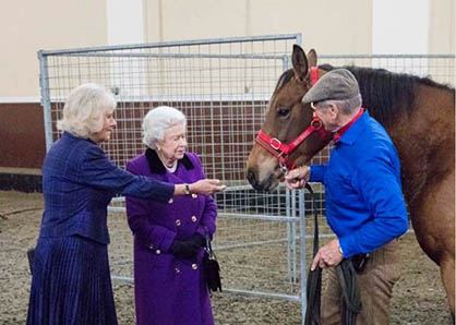 Her Royal Highness Supports Working Horses and Donkeys Around the World