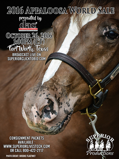 Consignment Deadline For 2016 Appaloosa World Sale is Sept. 19th