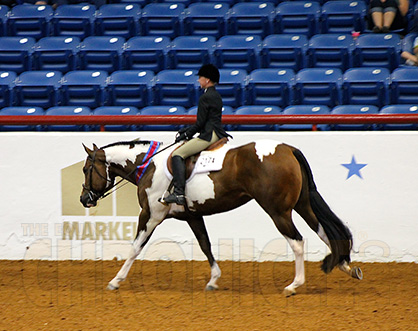 First Two Hunt Seat Winners on Day 3 at AjPHA Youth World are Gross and Hatcher