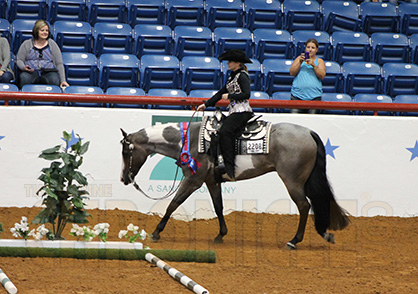 Lila Owens and Chandler Ennis Win Novice Youth Trail at 2016 AjPHA Youth World Show