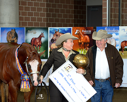 More Photos and Results From 2016 Breeders’ Halter Futurity