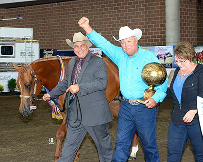 Around the Ring Photos and Results From 2016 Breeders’ Halter Futurity- UPDATE