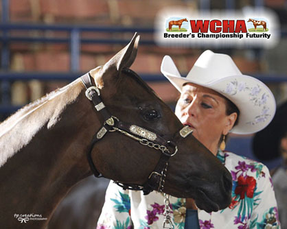 WCHA/APHA Introduce New Weanling Futurities in Las Vegas