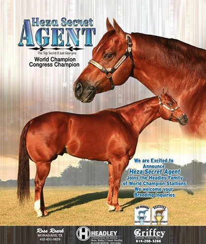 Heza Secret Agent Sires 7 Congress Champions, 1 Reserve, and 1 Reserve Grand Champion