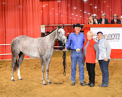 50th Annual Congress Super Sale Results Report