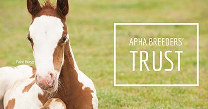 ABC’s of APHA Breeders’ Trust, Futurity, and Sale