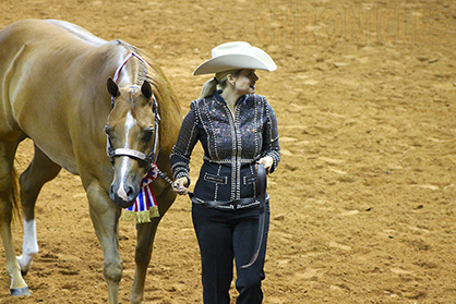 Clean Sweep For Undefeated Champion, Mytesly, Winning in Amateur Performance Halter Geldings With Johnna Dobbs