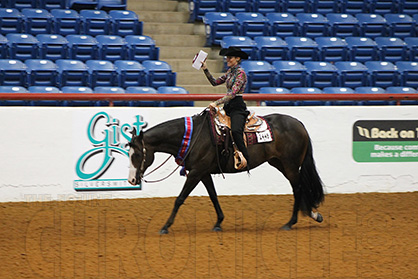 2016 APHA Open/Amateur World Show Successfully Concludes with Increases in Key Areas