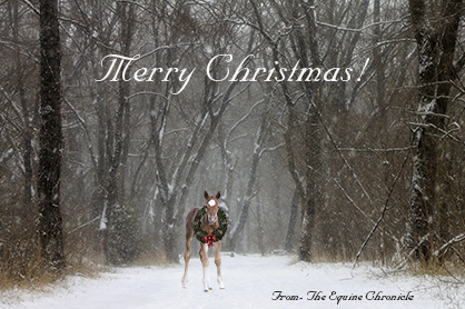 Merry Christmas! From The Equine Chronicle
