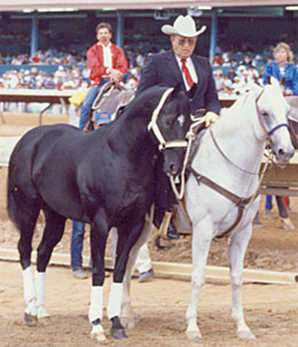 5 Individuals, 3 Horses, 1 Ranch Inducted into OK Hall of Fame