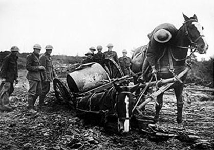 Honoring the Horses of War