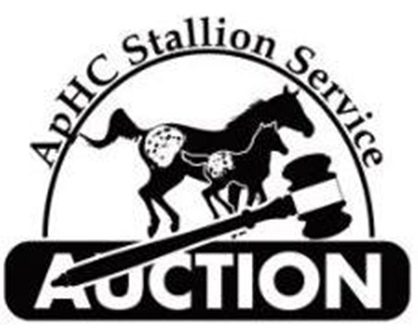 ApHC Stallion Service Auction Ends Tomorrow, Jan. 31st at 6:00 pm