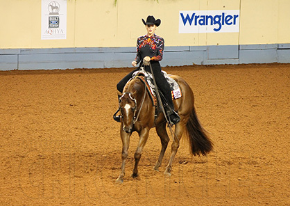 Finding Your AQHA Level in 2019