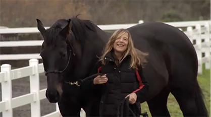 Breaking the Cycle Of Hoof Lameness: Interesting Study About Horse “Sneakers”