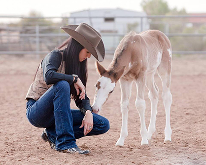 EC Foal of the Day- “Beau” by Original Cowboy