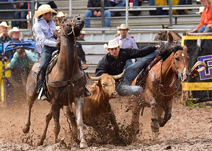 Kimes Ranch Announces Student Sponsorship Program
