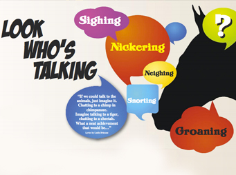 Look Who’s Talking – Horse Communicators