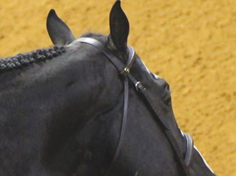 Hormonal Problems In Show Mares
